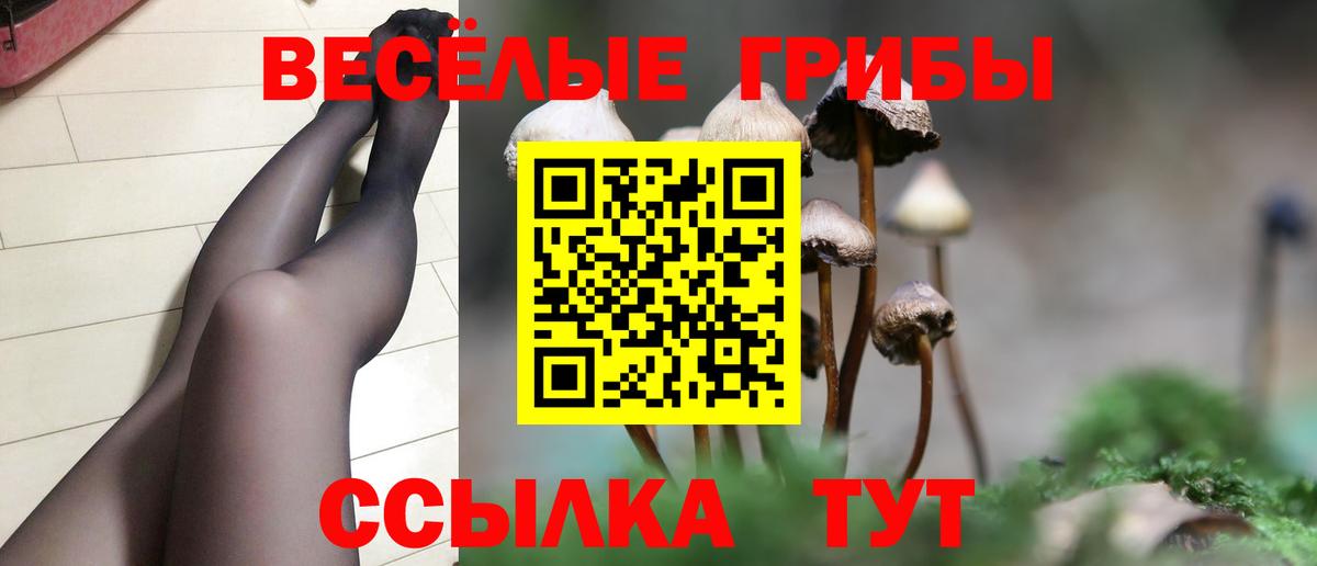 Галлюциногенные грибы MAGIC MUSHROOMS  Вход с VPN  Комсомольск-на-Амуре 